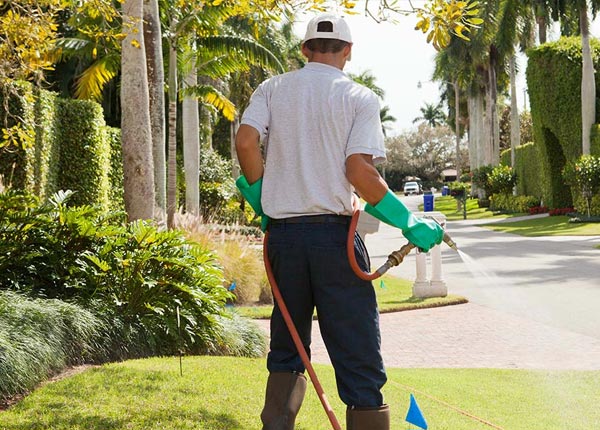 About Eddy TX Pest Control Pros